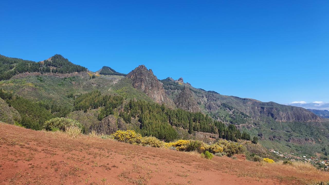 Casa Cueva Paquito Villa Vega de San Mateo Kültér fotó