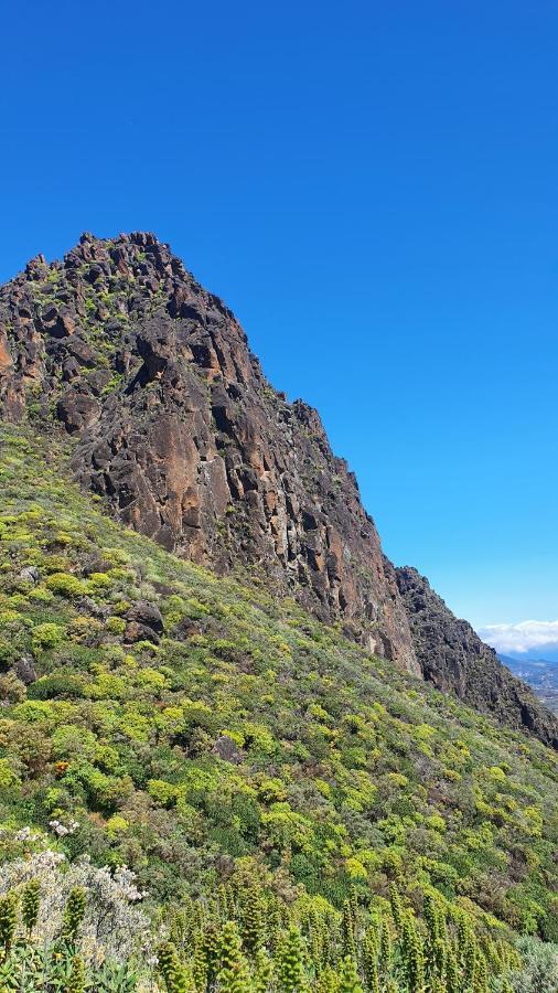 Casa Cueva Paquito Villa Vega de San Mateo Kültér fotó