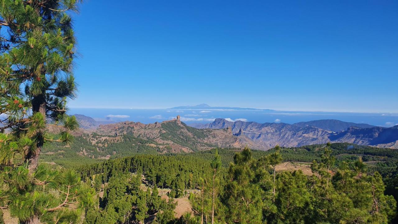 Casa Cueva Paquito Villa Vega de San Mateo Kültér fotó