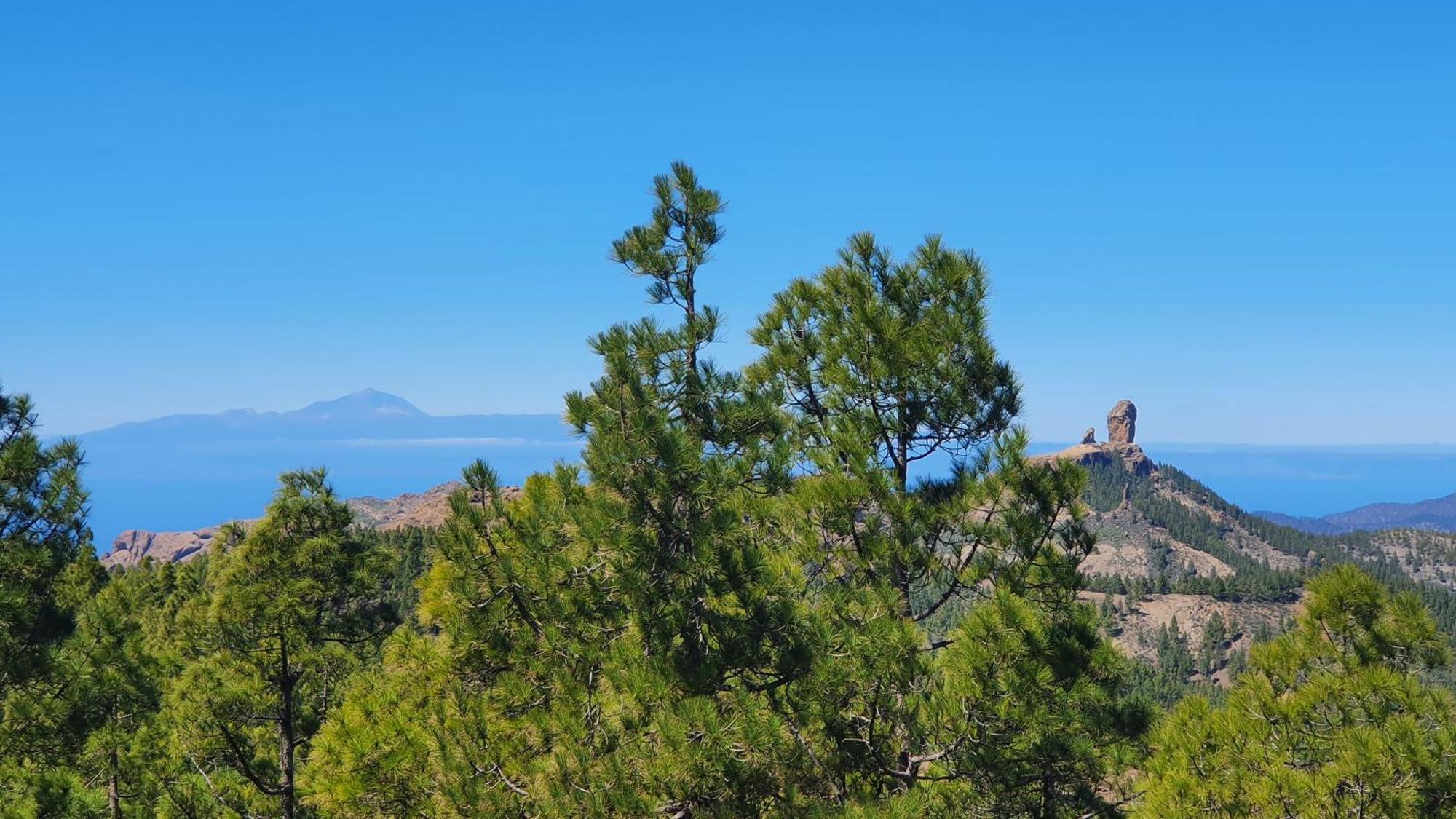 Casa Cueva Paquito Villa Vega de San Mateo Kültér fotó