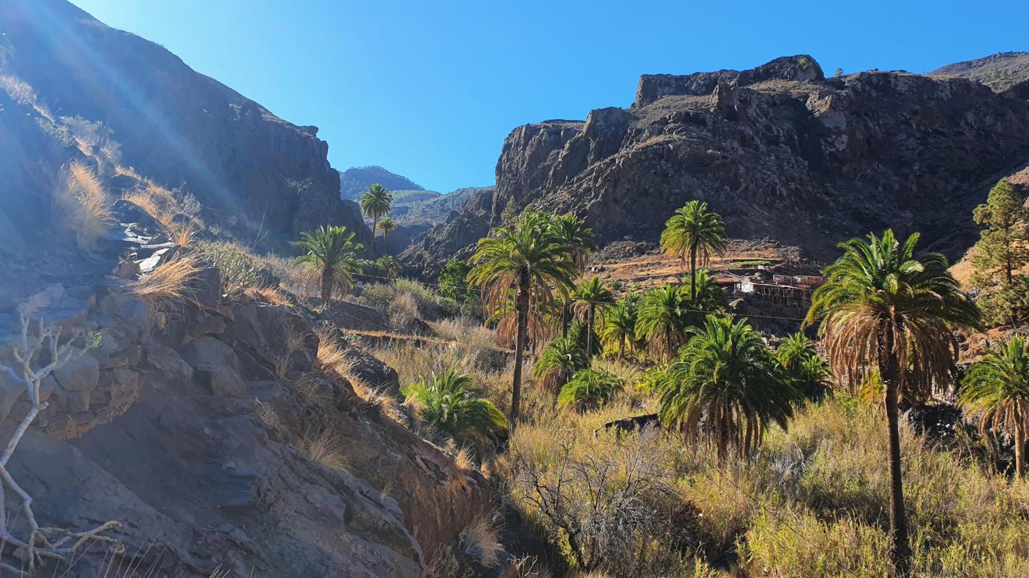 Casa Cueva Paquito Villa Vega de San Mateo Kültér fotó