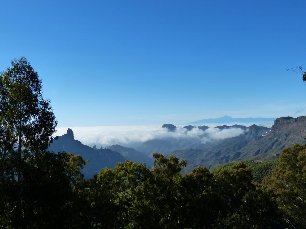 Casa Cueva Paquito Villa Vega de San Mateo Kültér fotó